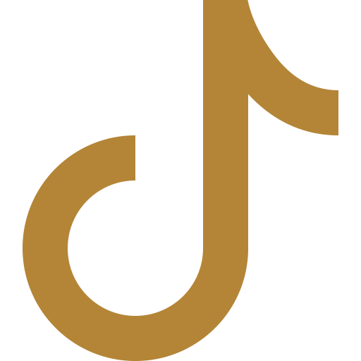 TikTok Logo